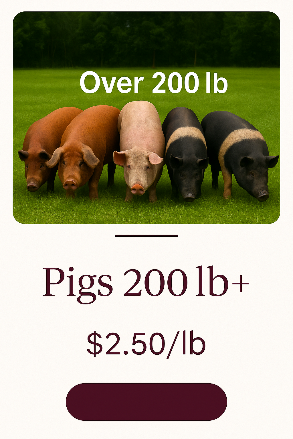 Whole Hog - Over 200 lb