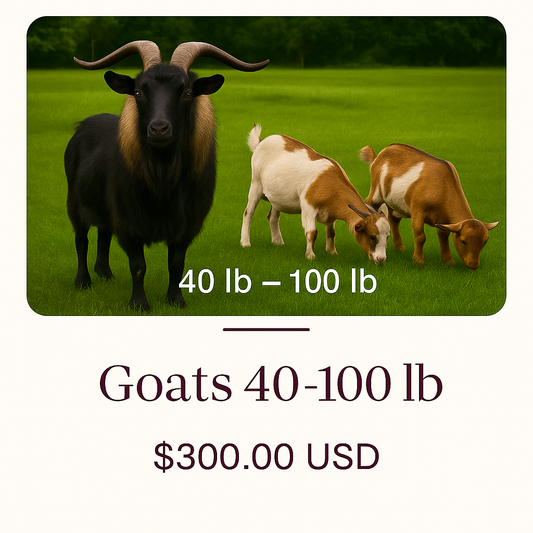 Goats 40-100 lb